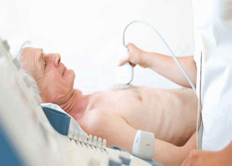 percutaneous valve implantation including tavi